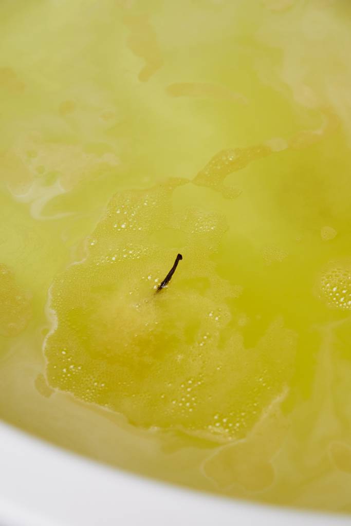 Vanilla Fountain - 120g