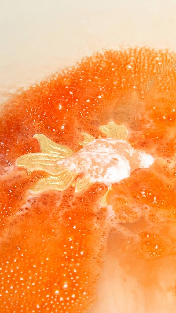 Goldfish - 90g