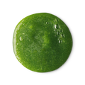 Wasabi Shan Kui